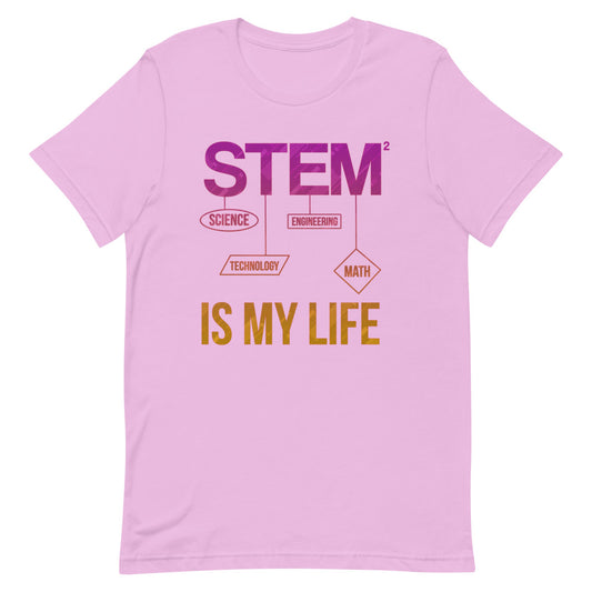 stem t-shirts, s.t.e.m. t-shirts, stem tees, coder t-shirts, programmer t-shirts, web developer t-shirts, engineer t-shirts, mathematician t-shirts, scientist t-shirts, computer scientist t-shirts, science t-shirts, math t-shirts, engineering t-shirts, technology t-shirts by Chenelle Designs
